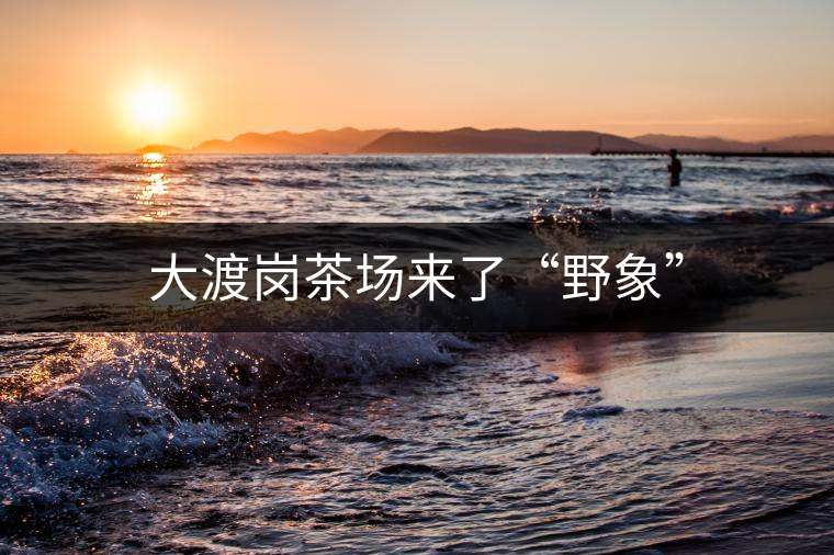 大渡崗茶場(chǎng)來(lái)了“野象”