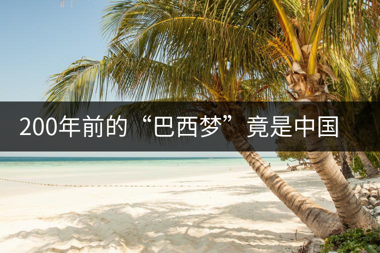 200年前的“巴西夢(mèng)”竟是中國(guó)茶