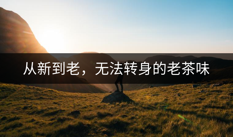 從新到老，無法轉身的老茶味