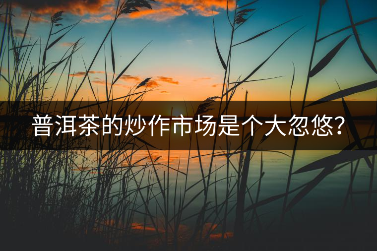 普洱茶的炒作市場是個大忽悠？