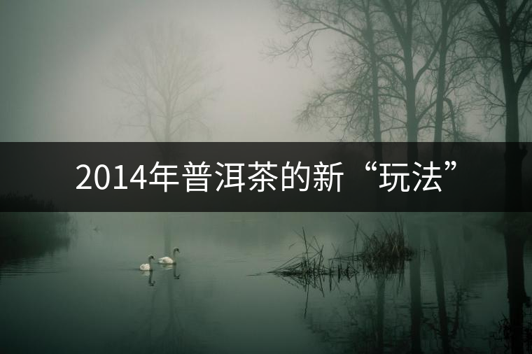 2014年普洱茶的新“玩法” 2014年普洱茶的新“玩法”