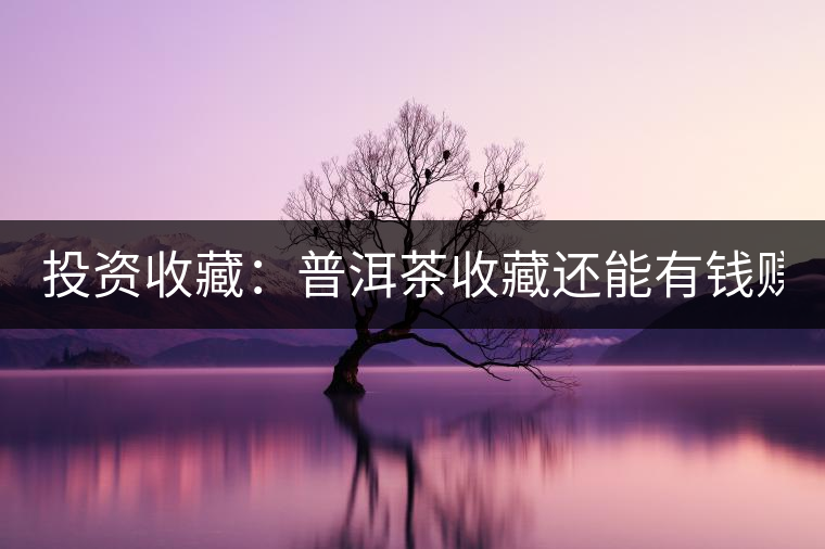 投資收藏：普洱茶收藏還能有錢賺嗎？