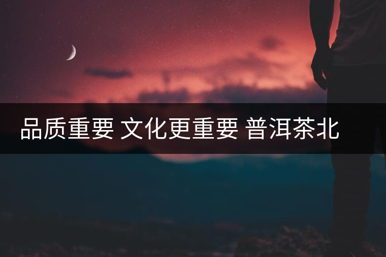 品質(zhì)重要 文化更重要 普洱茶北上任重而道遠