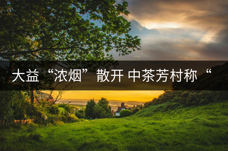 大益“濃煙”散開 中茶芳村稱“王”？
