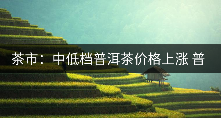茶市：中低檔普洱茶價格上漲 普洱市場漸趨理性