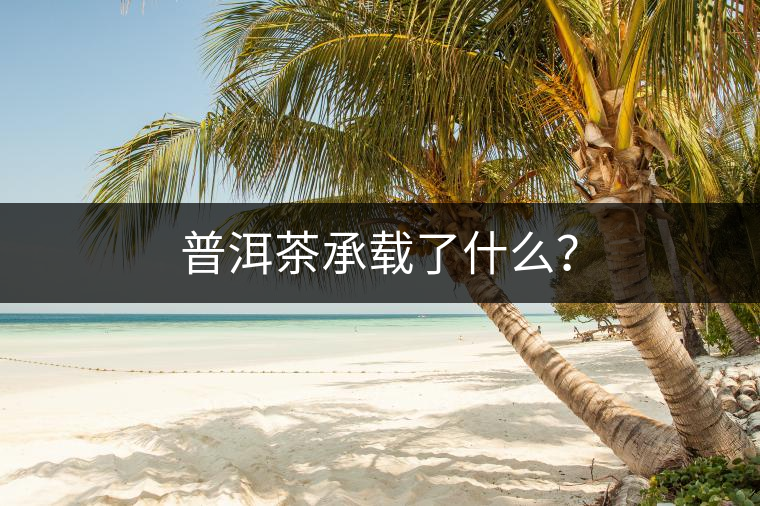 普洱茶承載了什么？