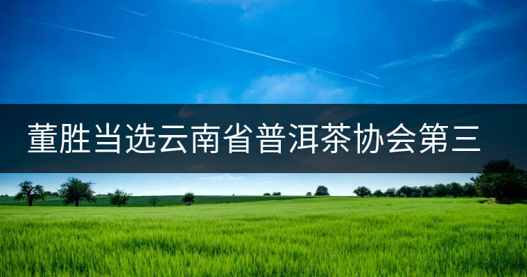 董勝當(dāng)選云南省普洱茶協(xié)會第三屆會長