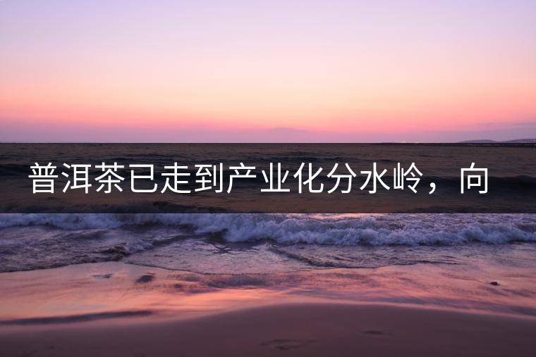 普洱茶已走到產(chǎn)業(yè)化分水嶺，向左還是向右？