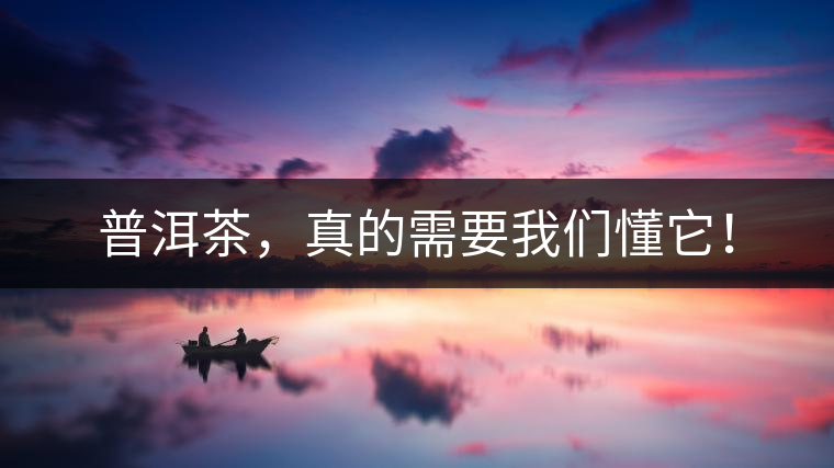 普洱茶，真的需要我們懂它！