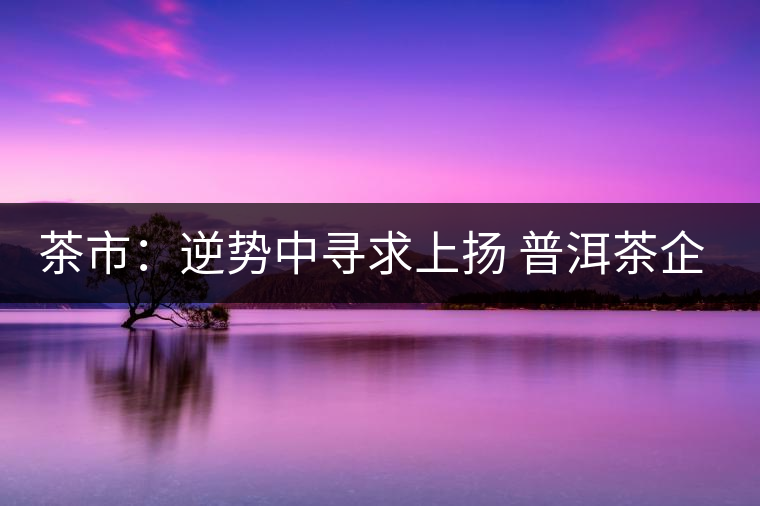 茶市：逆勢中尋求上揚 普洱茶企靠什么打贏這場翻身仗？