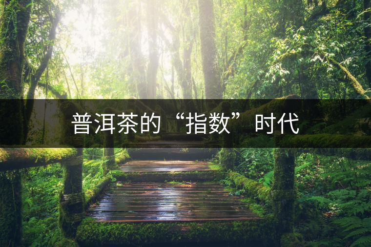 普洱茶的“指數(shù)”時代