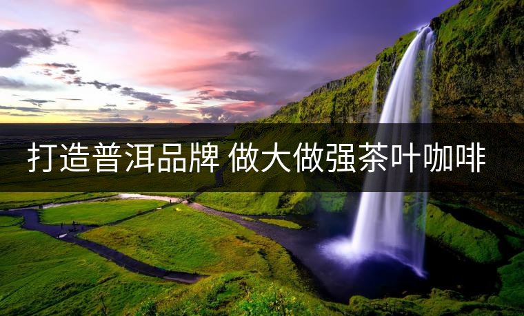 打造普洱品牌 做大做強茶葉咖啡產(chǎn)業(yè) 打造普洱品牌 做大做強茶葉咖啡產(chǎn)業(yè)