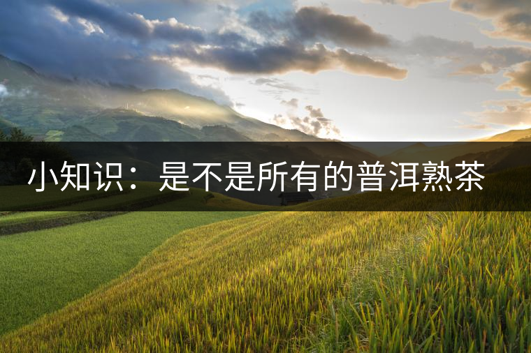 小知識：是不是所有的普洱熟茶都有“渥堆味”？