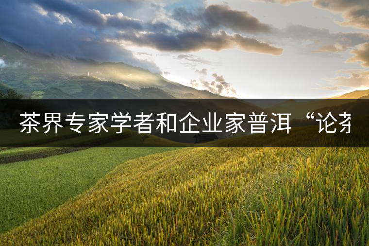 茶界專家學(xué)者和企業(yè)家普洱“論茶”
