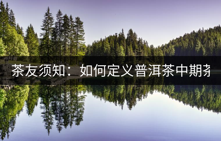 茶友須知：如何定義普洱茶中期茶 怎么選購？