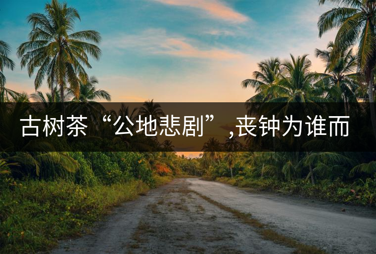 古樹茶“公地悲劇”,喪鐘為誰而鳴！
