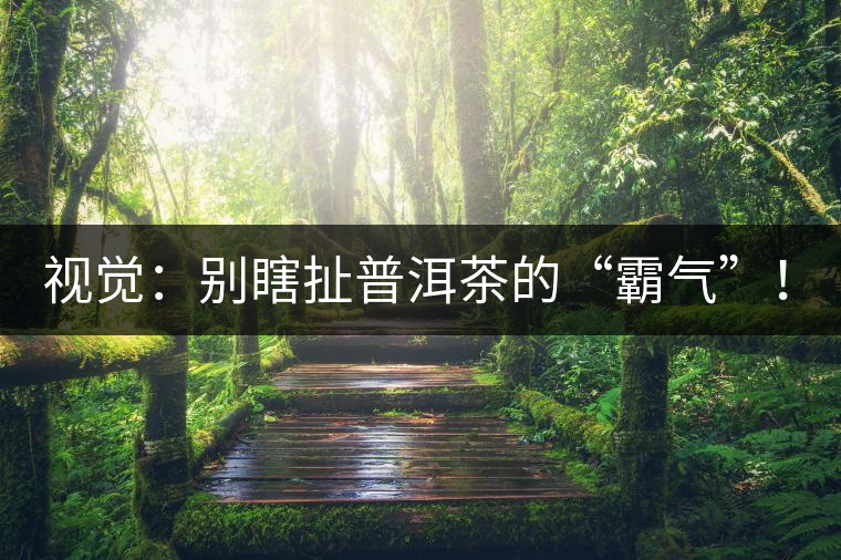 視覺(jué)：別瞎扯普洱茶的“霸氣”！偽大師！