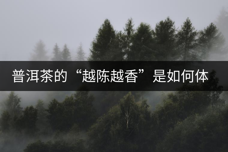 普洱茶的“越陳越香”是如何體現(xiàn)的？