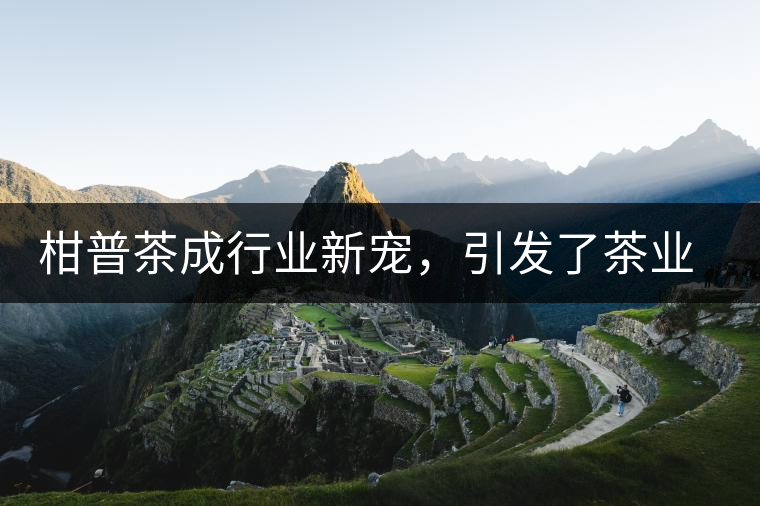 柑普茶成行業(yè)新寵，引發(fā)了茶業(yè)市場新的機(jī)遇與爆點(diǎn)