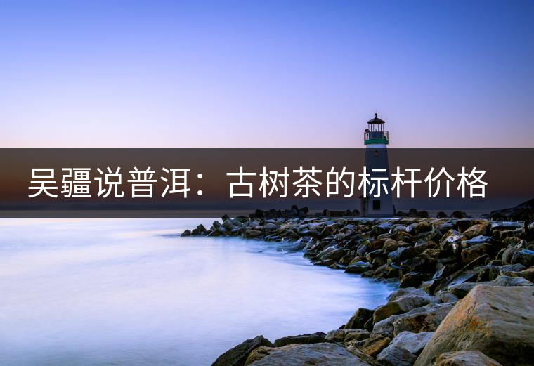 吳疆說普洱：古樹茶的標桿價格在哪里？