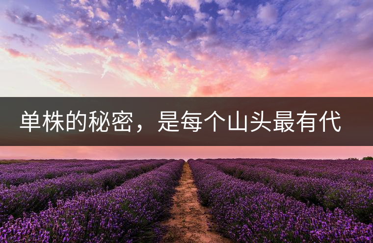單株的秘密，是每個山頭最有代表性的味道？
