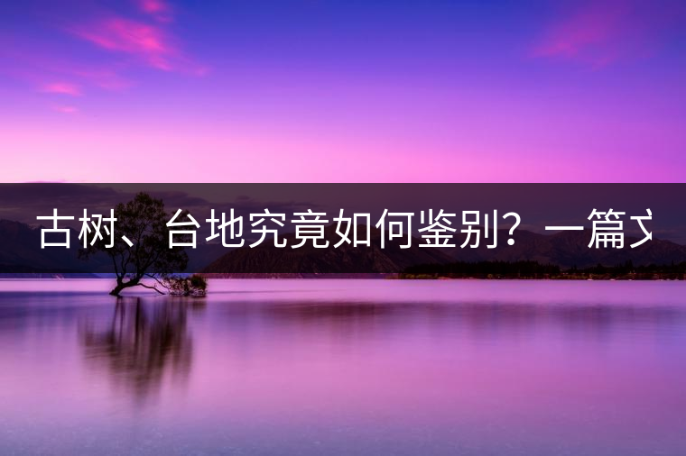 古樹、臺地究竟如何鑒別？一篇文章說透！