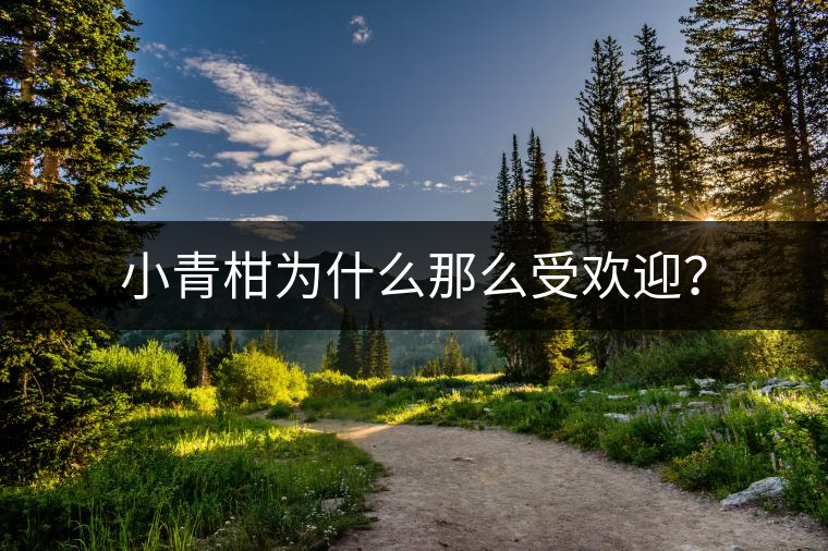 小青柑為什么那么受歡迎？