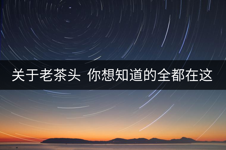 關于老茶頭  你想知道的全都在這兒啦！