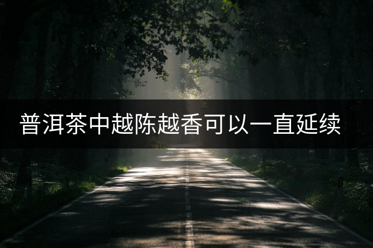 普洱茶中越陳越香可以一直延續(xù)下去嗎？