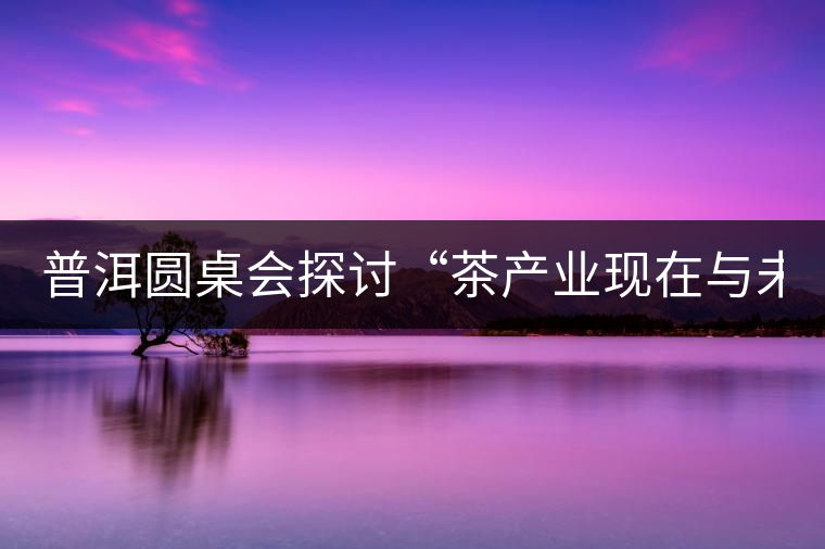 普洱圓桌會探討“茶產(chǎn)業(yè)現(xiàn)在與未來”