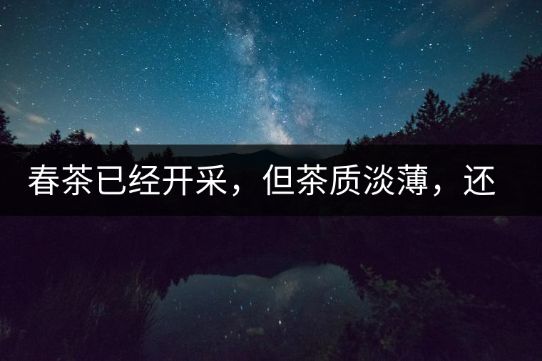 春茶已經(jīng)開(kāi)采，但茶質(zhì)淡薄，還需一兩周