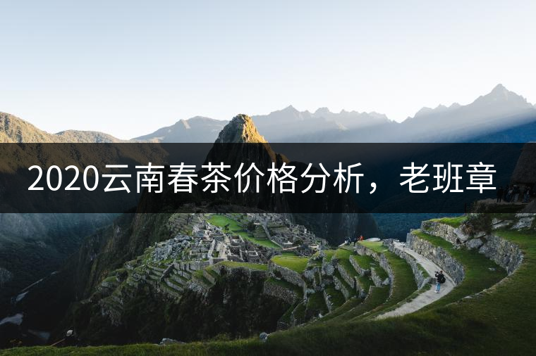 2020云南春茶價格分析，老班章依然將獨占鰲頭？