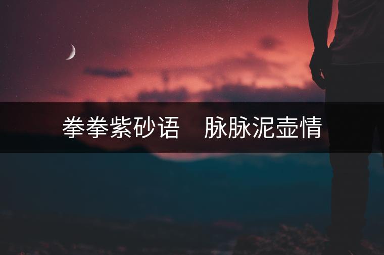 拳拳紫砂語　脈脈泥壺情