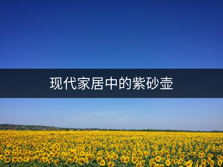 現(xiàn)代家居中的紫砂壺