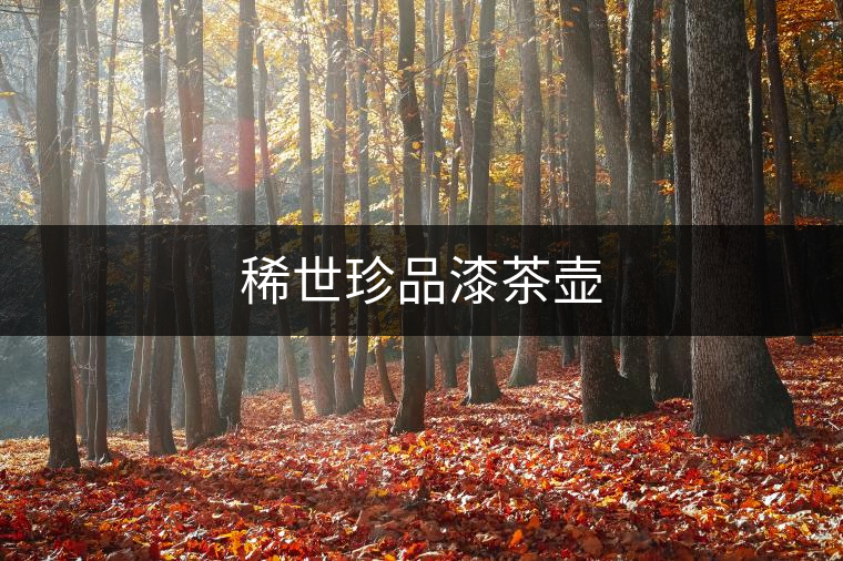 稀世珍品漆茶壺