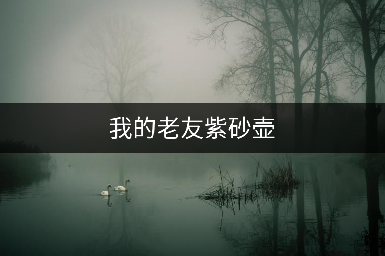 我的老友紫砂壺