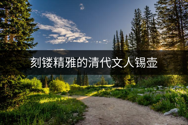 刻鏤精雅的清代文人錫壺