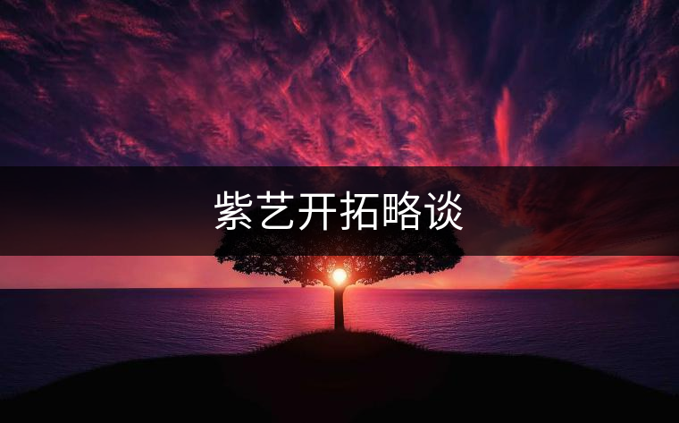 紫藝開拓略談
