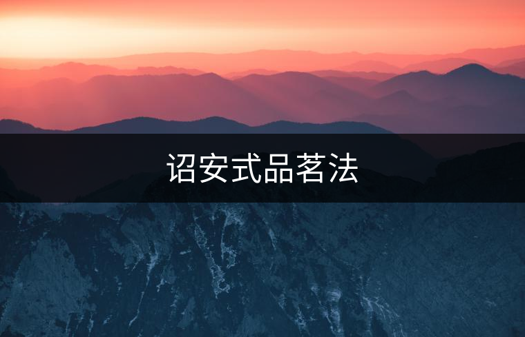 詔安式品茗法