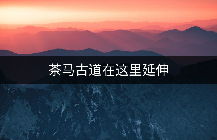 茶馬古道在這里延伸