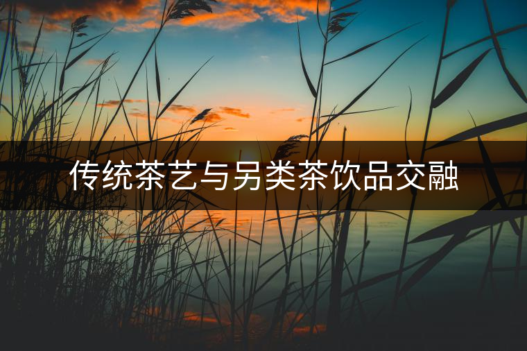 傳統(tǒng)茶藝與另類(lèi)茶飲品交融