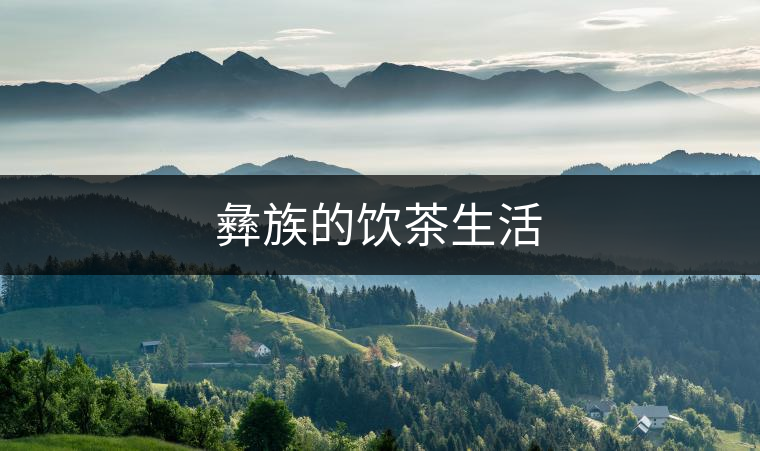 彝族的飲茶生活