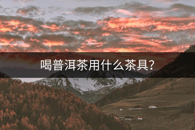 喝普洱茶用什么茶具？