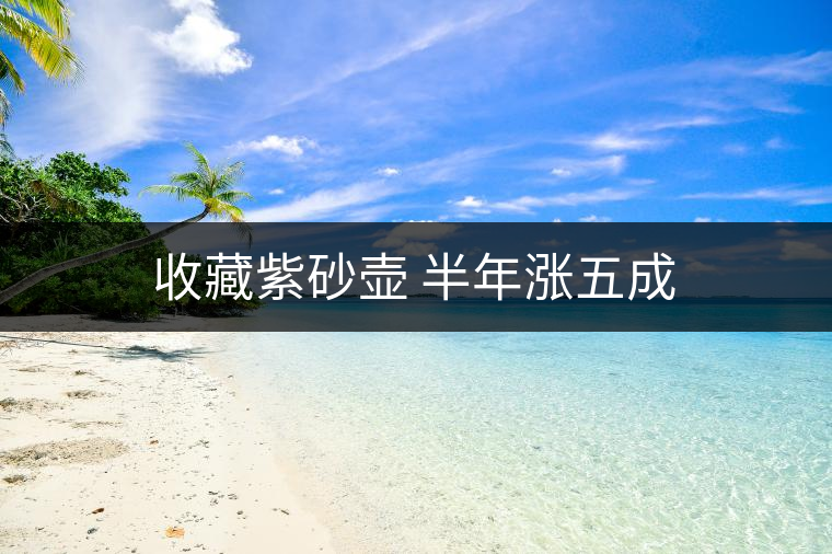 收藏紫砂壺 半年漲五成