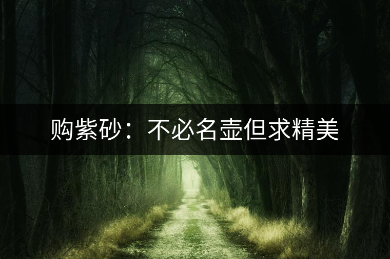 購紫砂：不必名壺但求精美