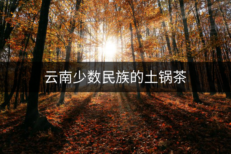 云南少數(shù)民族的土鍋茶 云南少數(shù)民族的土鍋茶