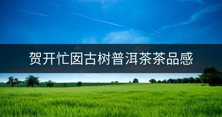 賀開(kāi)忙囡古樹(shù)普洱茶茶品感