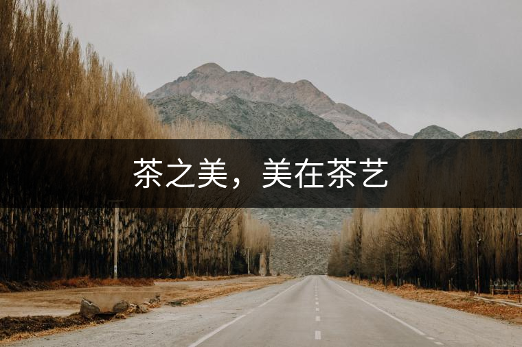 茶之美，美在茶藝
