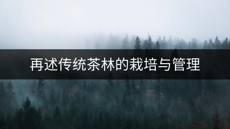 再述傳統(tǒng)茶林的栽培與管理