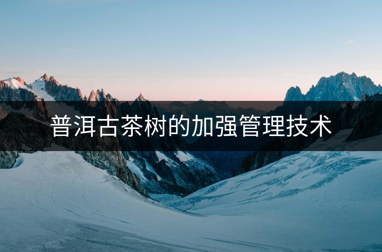 普洱古茶樹(shù)的加強(qiáng)管理技術(shù)